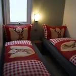 Ferienwohnung Am Bikepark & Skilift 公寓 *